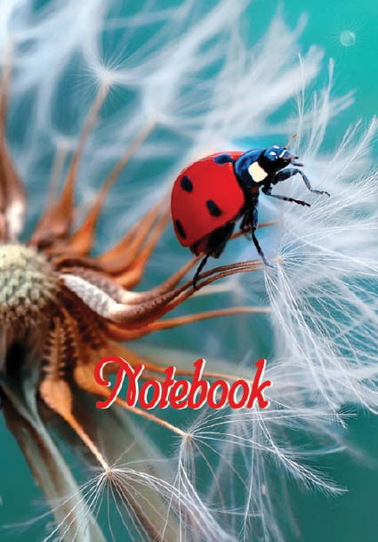 Тетрадка А5, 200 листа, спирала, твърда корица, широки редове, офсетова хартия