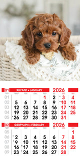 Тетрадка А5, 80 листа, широки редове, офсетова хартия