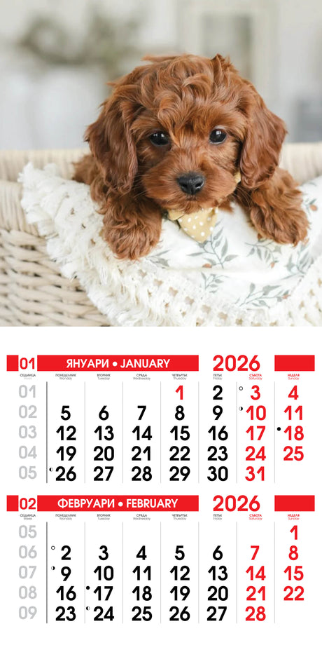 Тетрадка А5, 80 листа, широки редове, офсетова хартия